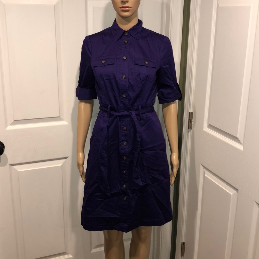 The Limited Purple Dress 2
